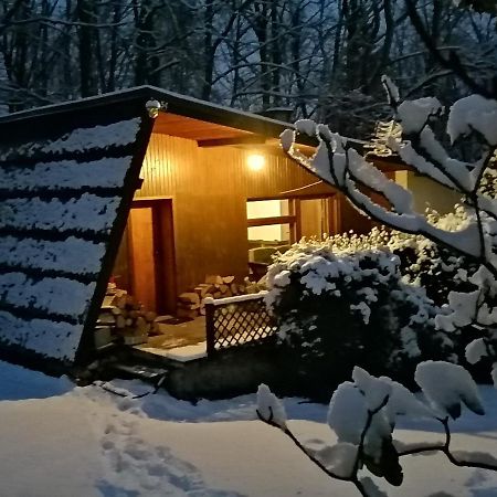 Meszna Chalpa Na Skarpieヴィラ エクステリア 写真